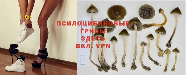 spice Карпинск