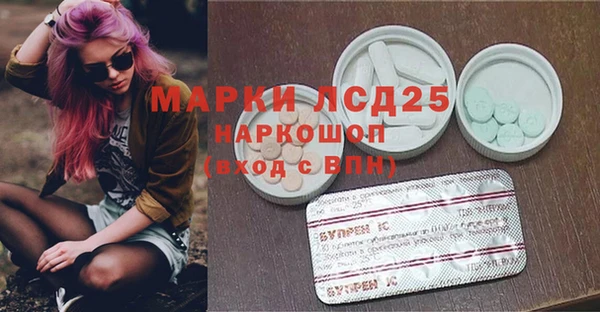 стаф Козловка