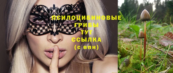 spice Карпинск