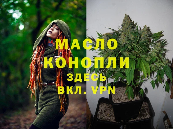 spice Карпинск