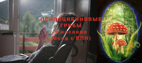 spice Карпинск