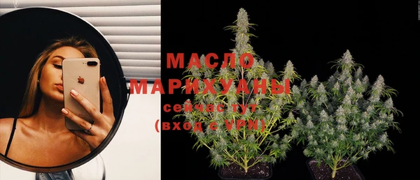 spice Карпинск