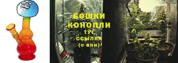 spice Карпинск